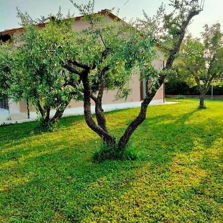 Il Melograno Lucca Exterior foto